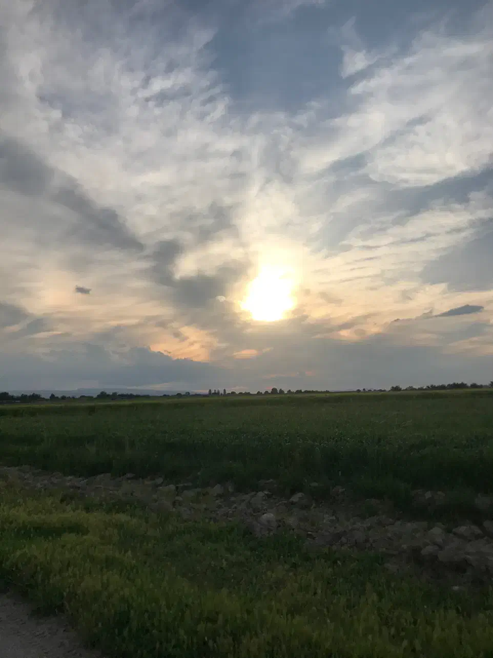 آبگیر باتجربه در کار آبیاری|استخدام صنعتی، فنی، مهندسی|شیروان (خراسان), |دیوار