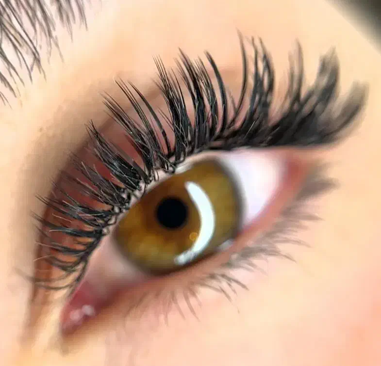 مدل اکستنشن مژه|خدمات آرایشگری و زیبایی|نوشهر, |دیوار