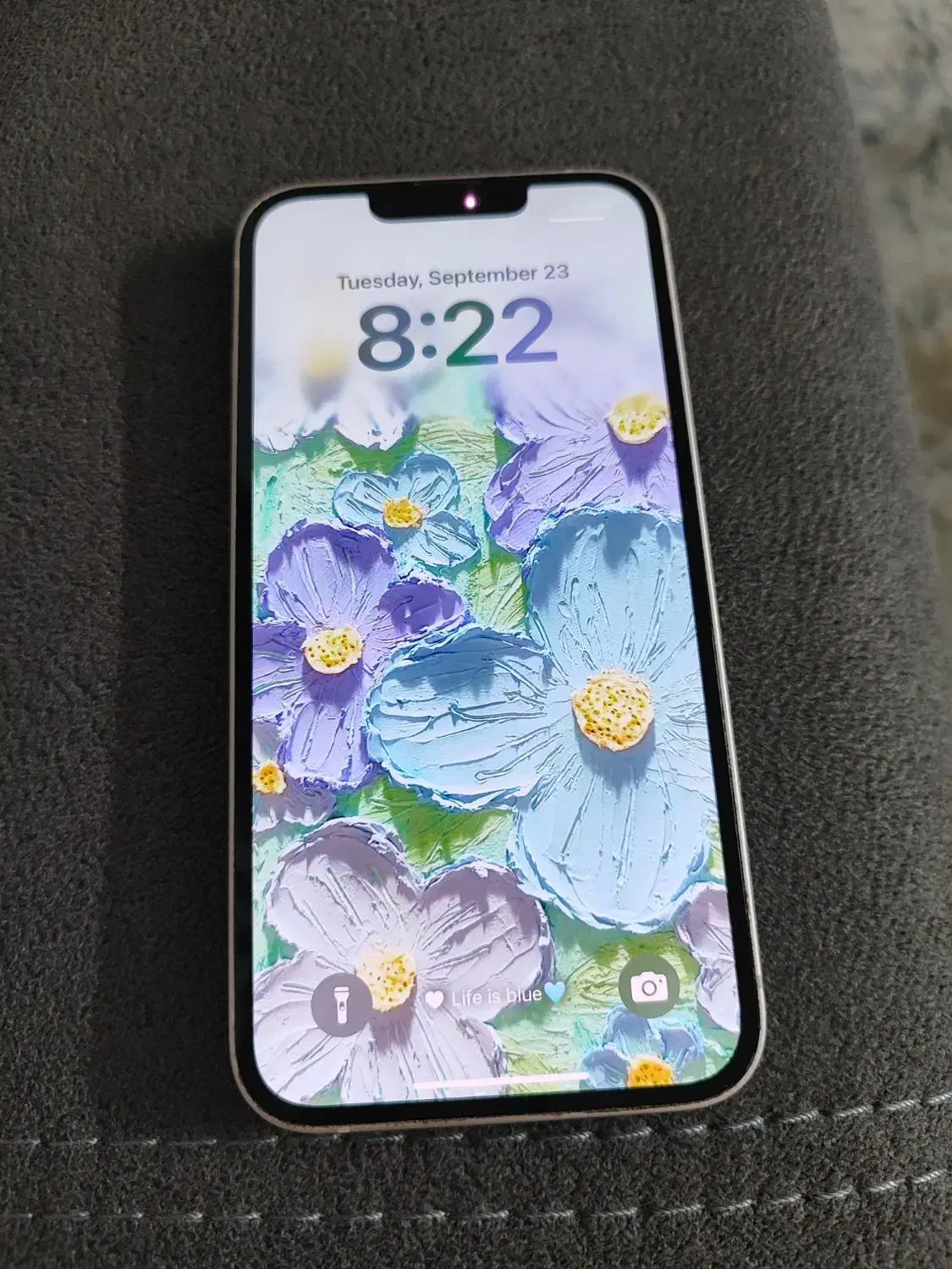 آیفون ۱۳ (iphone 13) 256g|موبایل|تهران, حافظیه|دیوار