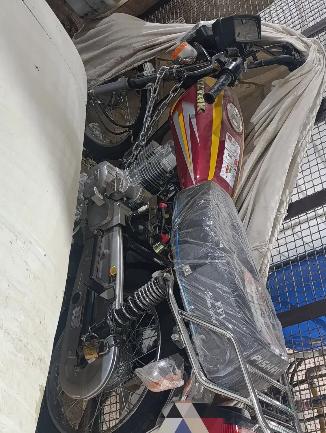 موتور پیشرو تیزتک 150 استارتی|موتورسیکلت|شیراز, پارک آزادی|دیوار