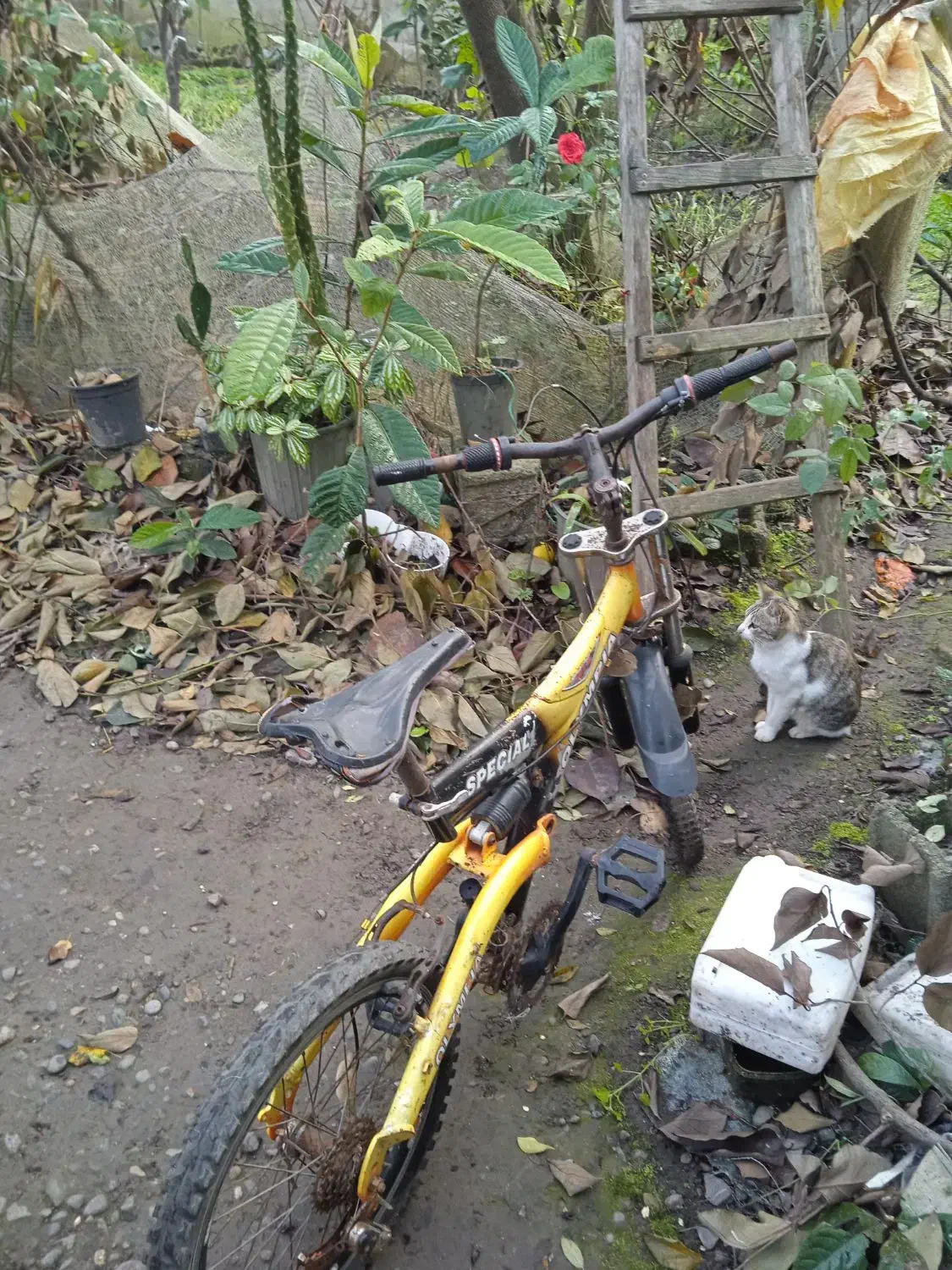 دوچرخه دست دوم|دوچرخه، اسکیت، اسکوتر|آستانه اشرفیه, |دیوار