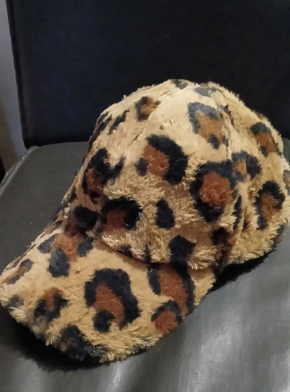 کلاه|لباس|نوشهر, |دیوار