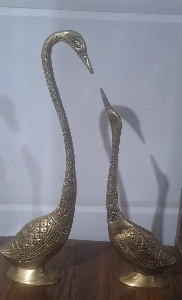 قو عاشق|مجسمه، تندیس، ماکت|قم, قلعه کامکار|دیوار