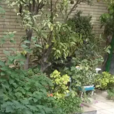 سرایداری و نگهبانی|استخدام سرایداری و نظافت|شیراز, فضلآباد|دیوار