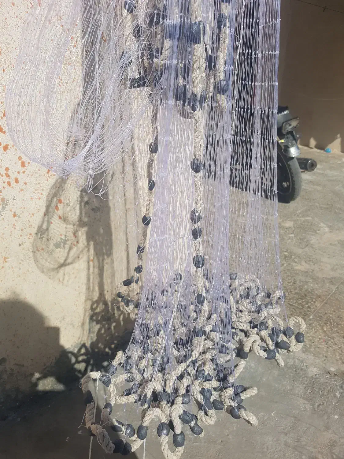 تورپرتابی|ماهیگیری|یاسوج, |دیوار