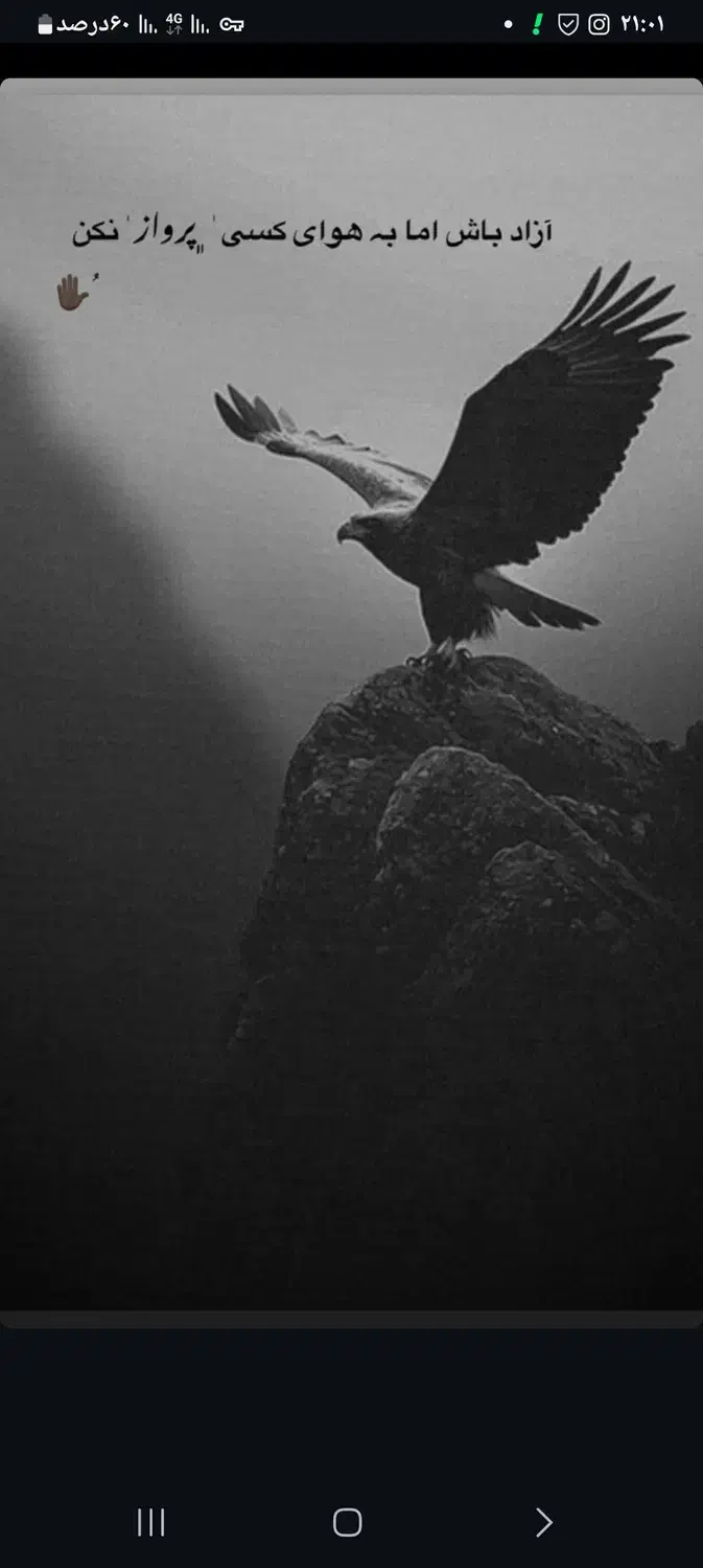 بیکارم دنبال کار میگردم|فعالیت داوطلبانه|مرند, |دیوار