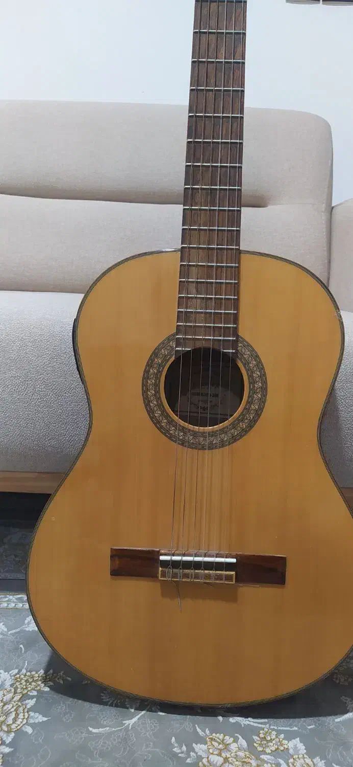 گیتار|گیتار، بیس، امپلیفایر|گناباد, |دیوار