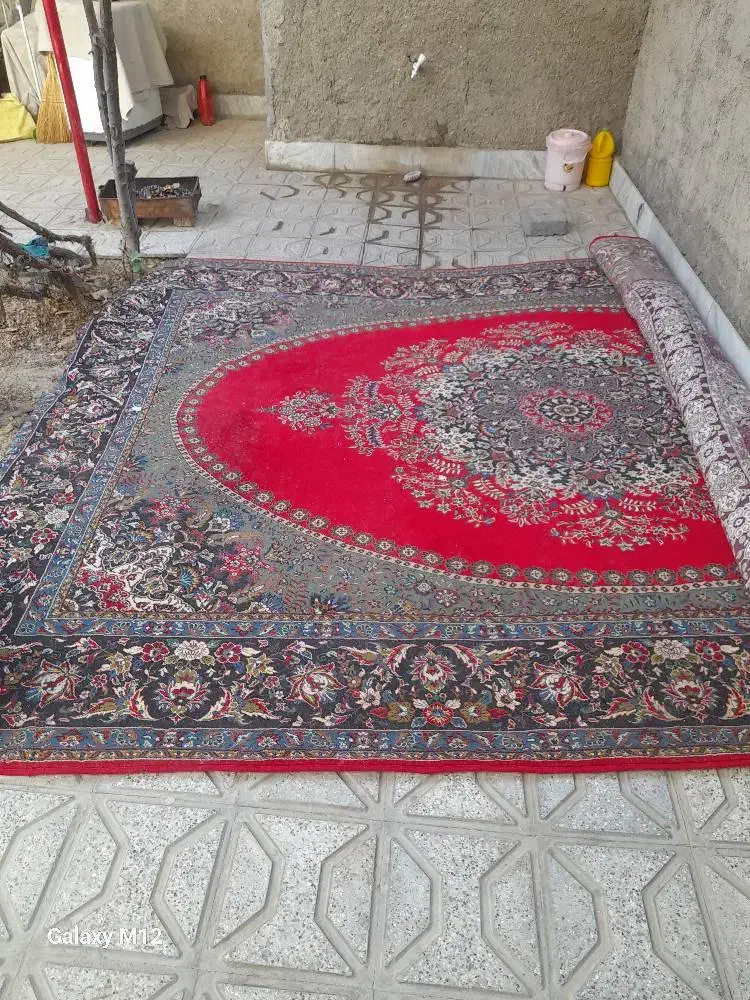 قالی یک تومان|فرش|شیروان (خراسان), |دیوار