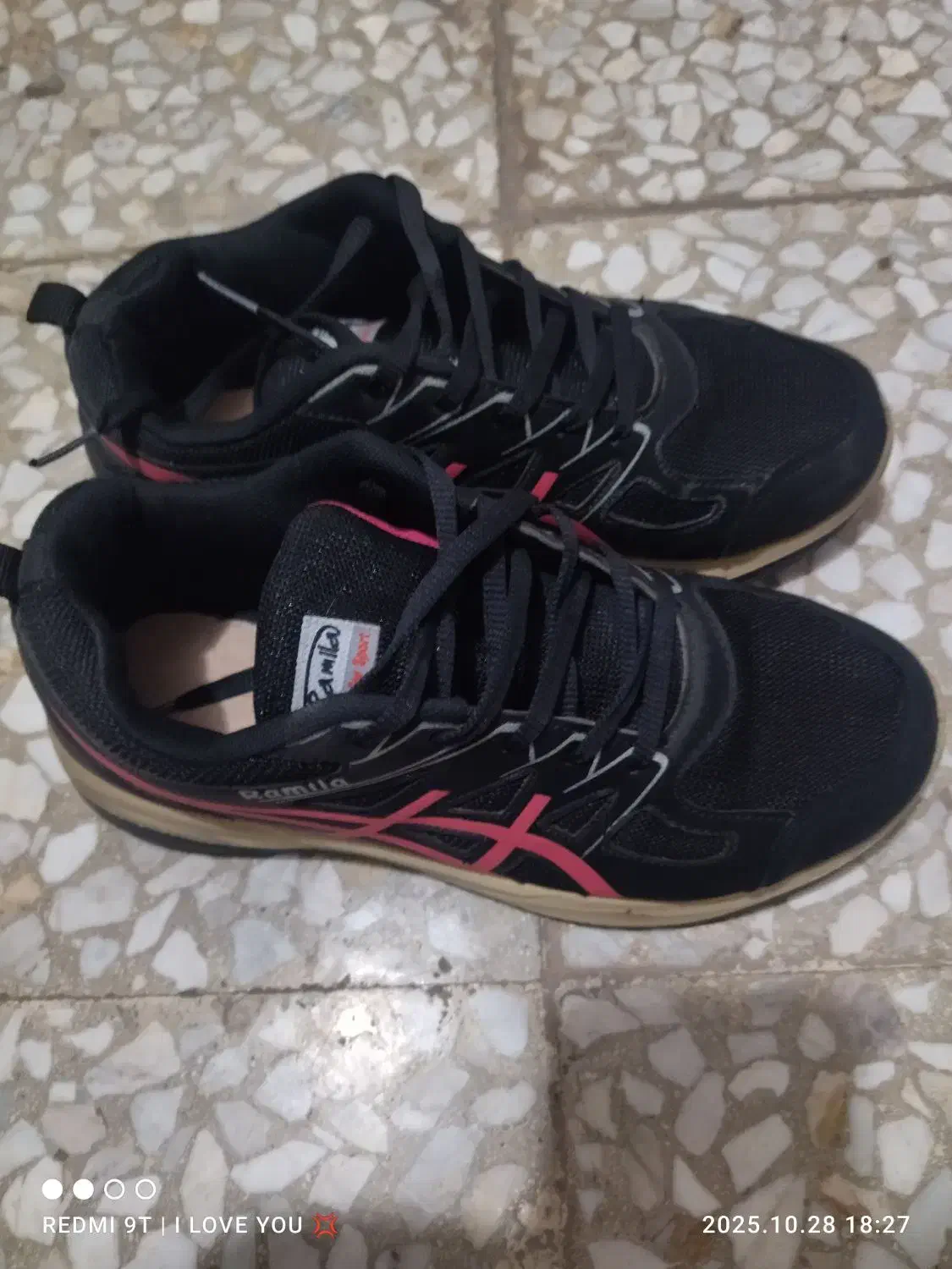 کفش|کیف، کفش، کمربند|قم, زند آباد|دیوار