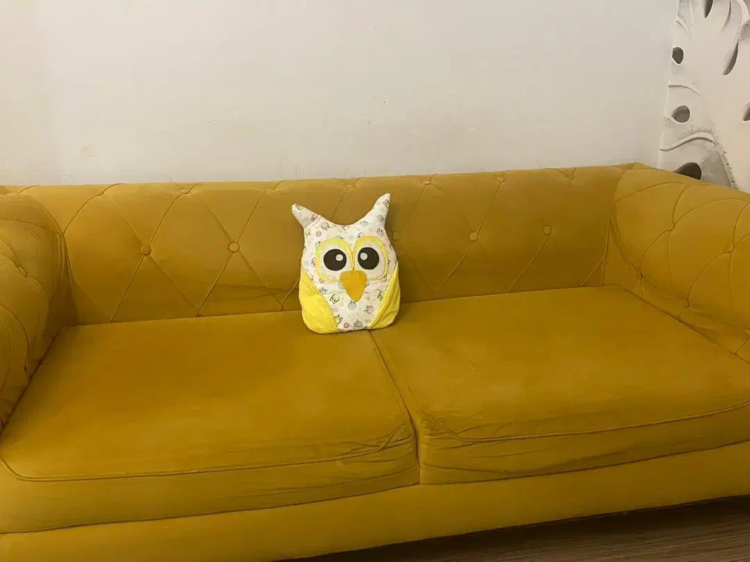 مبل راحتی چستر ۷ نفره|مبلمان خانگی و میز عسلی|سنندج, |دیوار