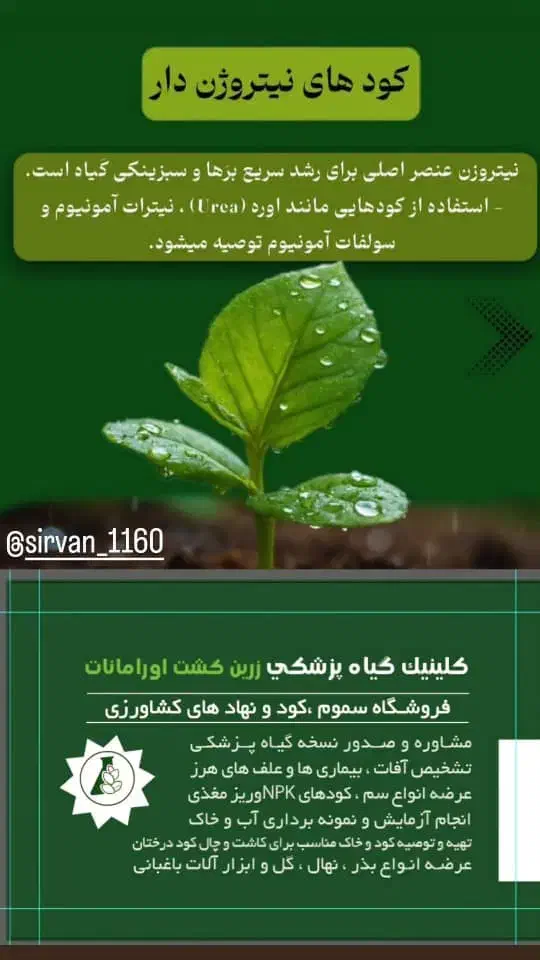 سبزی کار|خدمات باغبانی و درختکاری|زمکان, |دیوار