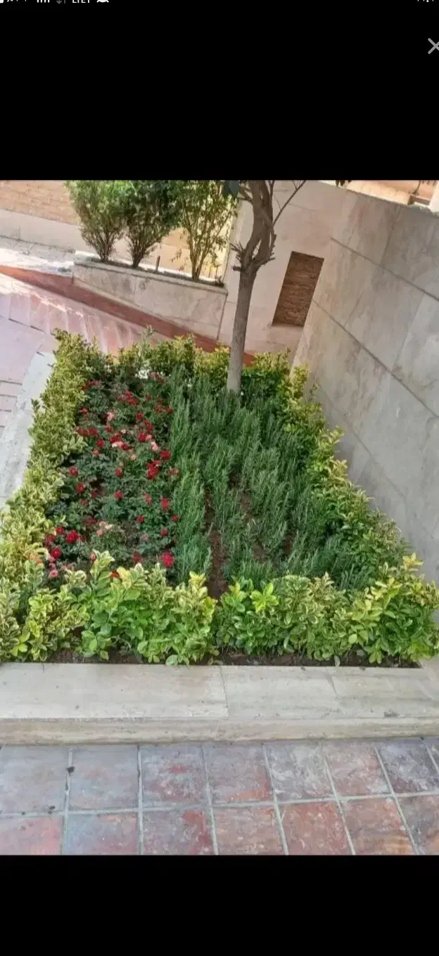خدمات باغبانی باغچه کاری چمن کاری|خدمات باغبانی و درختکاری|پردیس, فاز ۸|دیوار