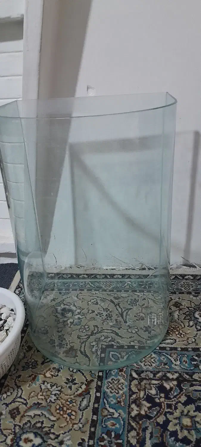 اکواریوم|ماهی|نیشابور, بنیاد شهید|دیوار