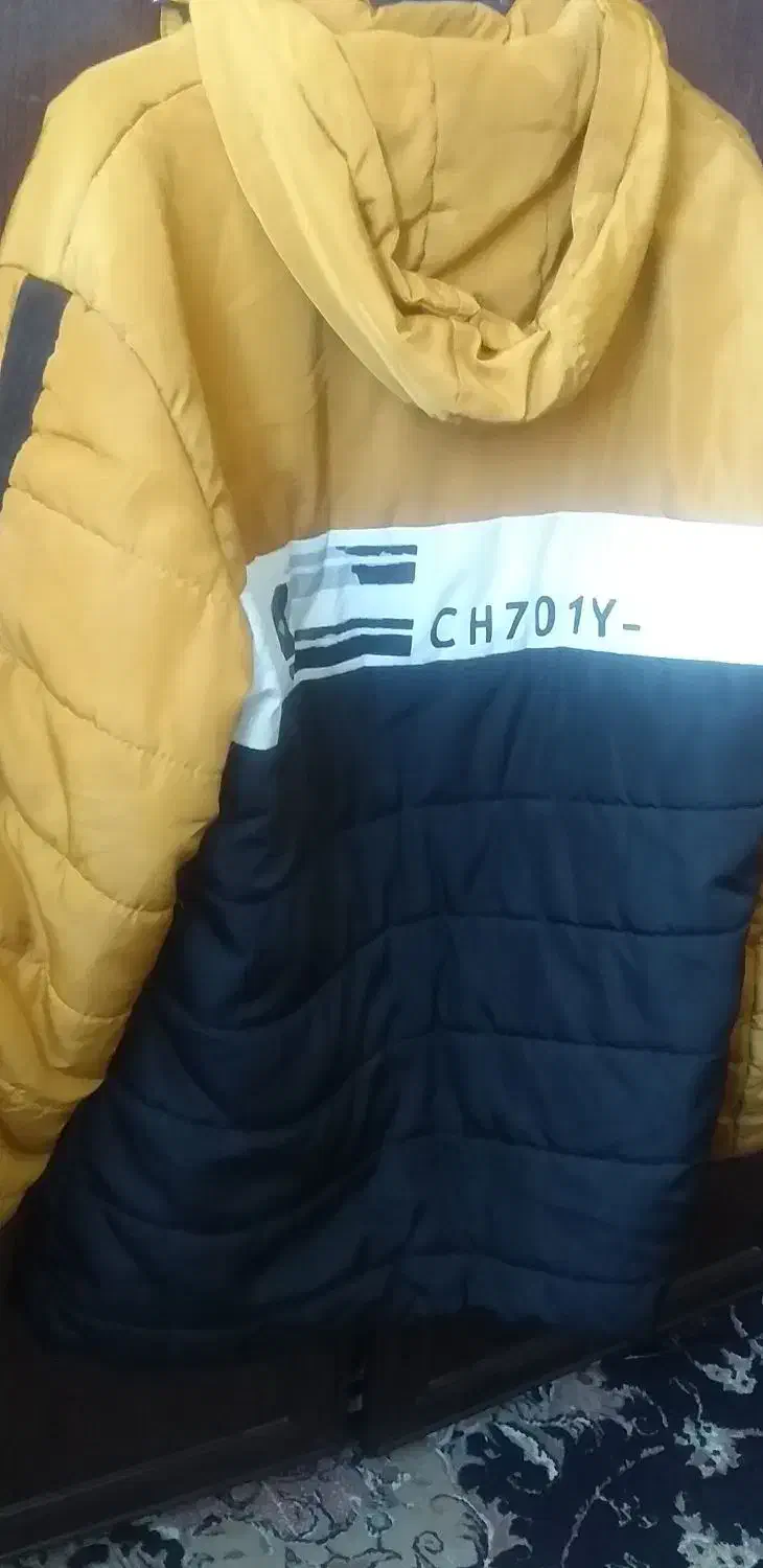 پسرانه کاپشن|لباس|گلبهار, شهر جدید گلبهار|دیوار