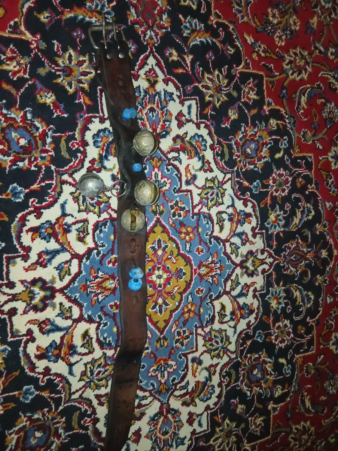 کمر بند سگ چرم با ۴ تا زنگ|لوازم جانبی حیوانات|شاهنجرین, |دیوار