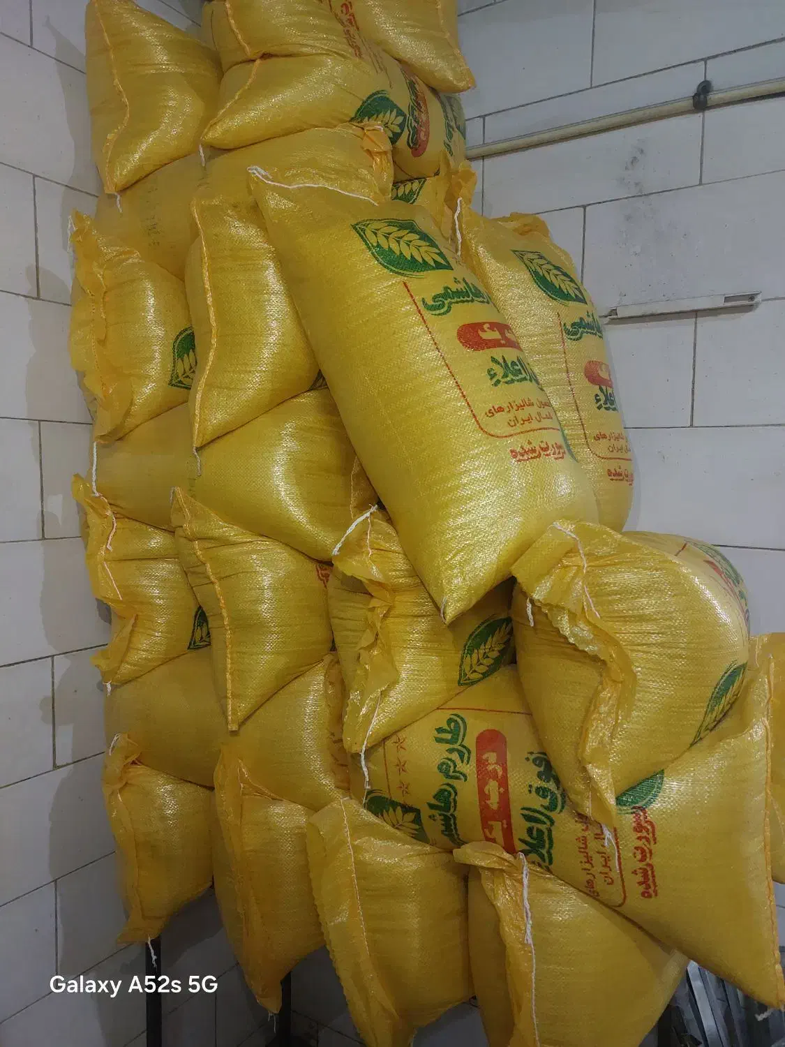 برنج هاشمی|عمدهفروشی|قم, دانش|دیوار