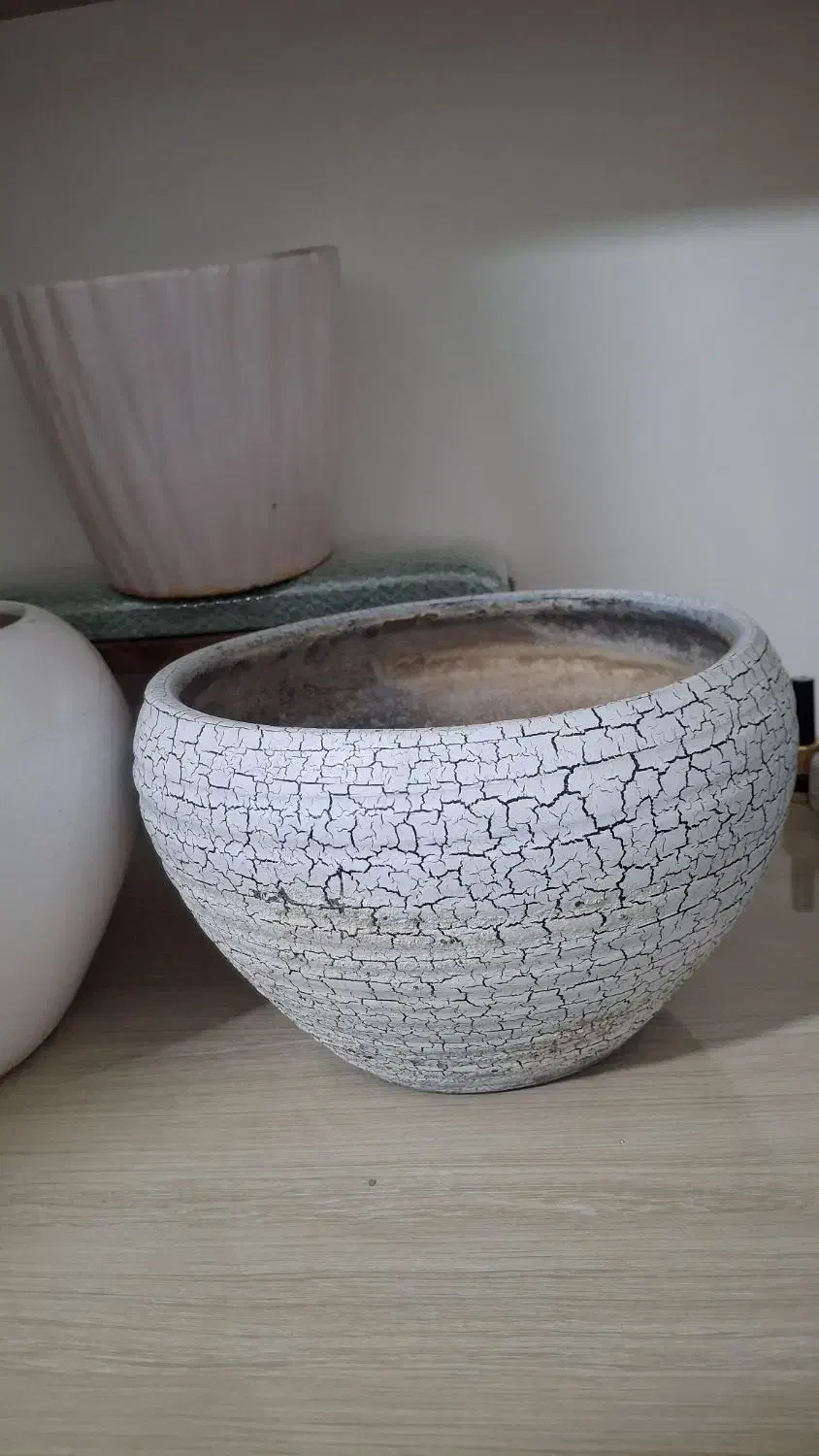 س عدد گلدون|گل و گیاه طبیعی|نیشابور, گنبد سبز|دیوار