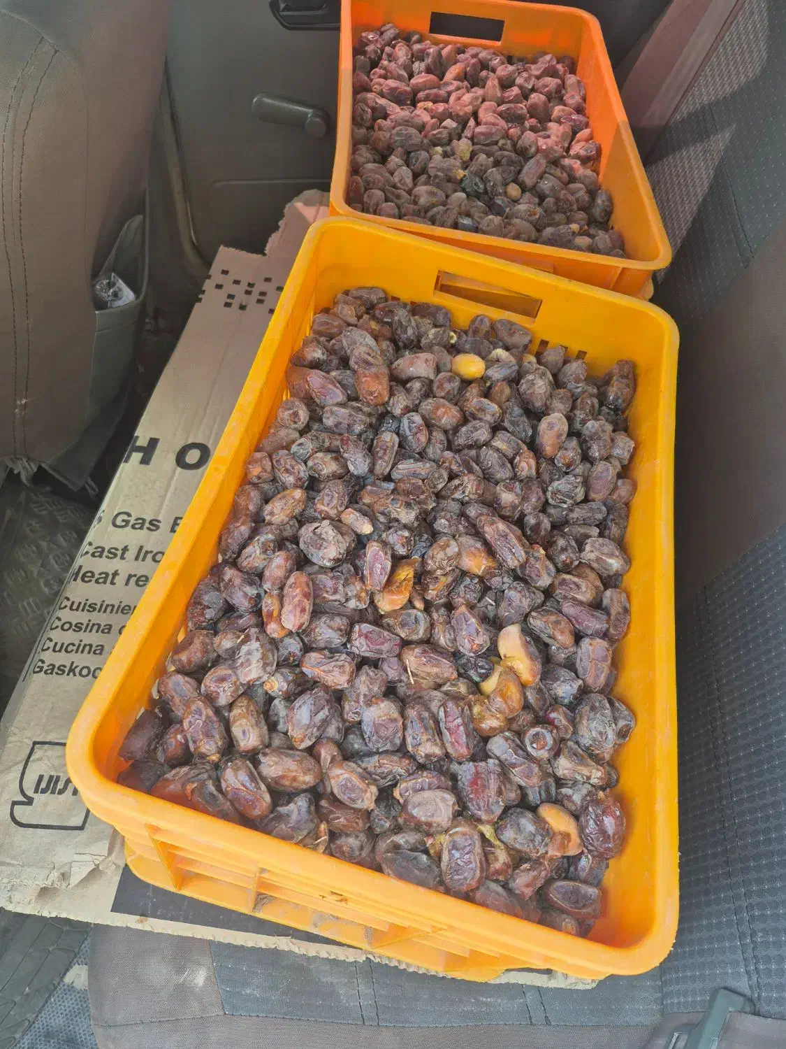 خرمای کبکباب|خوردنی و آشامیدنی|شیراز, خلیلی|دیوار