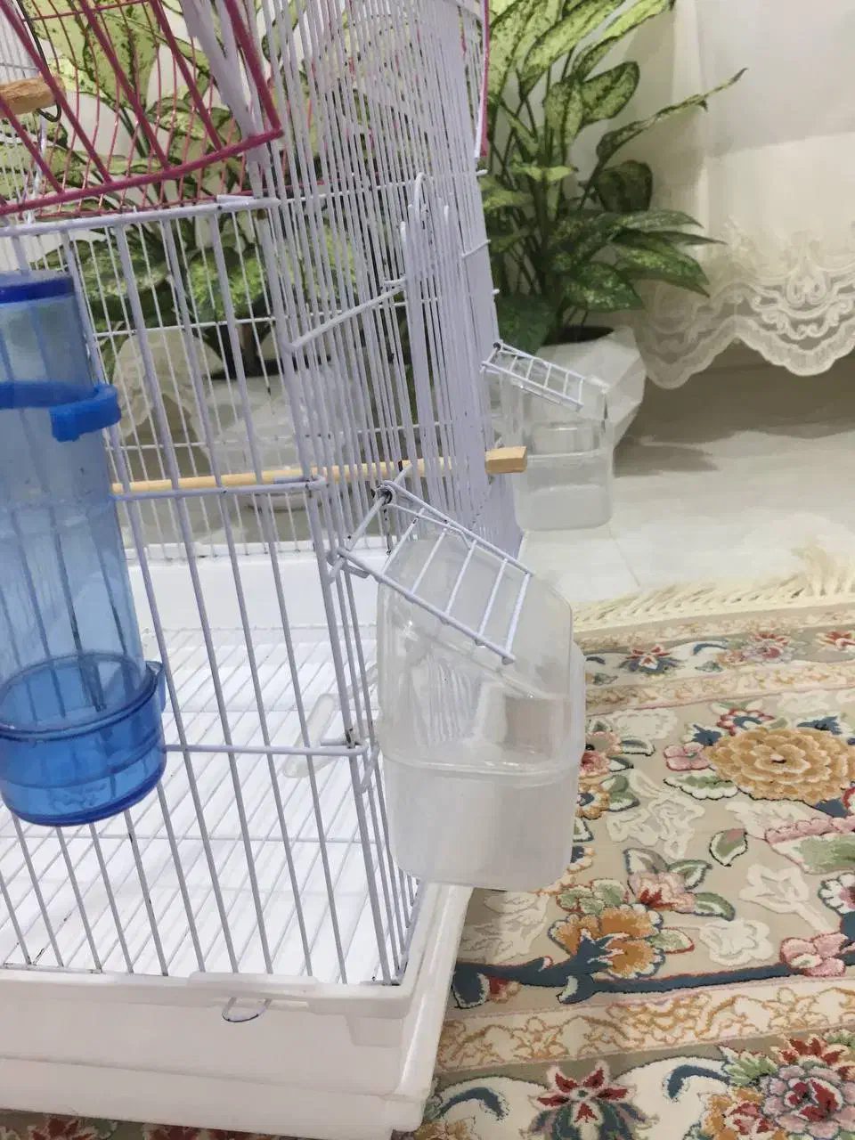 قفس پرنده،کوتوله برزیلی،عروس هلندی|لوازم جانبی حیوانات|کلارآباد, |دیوار