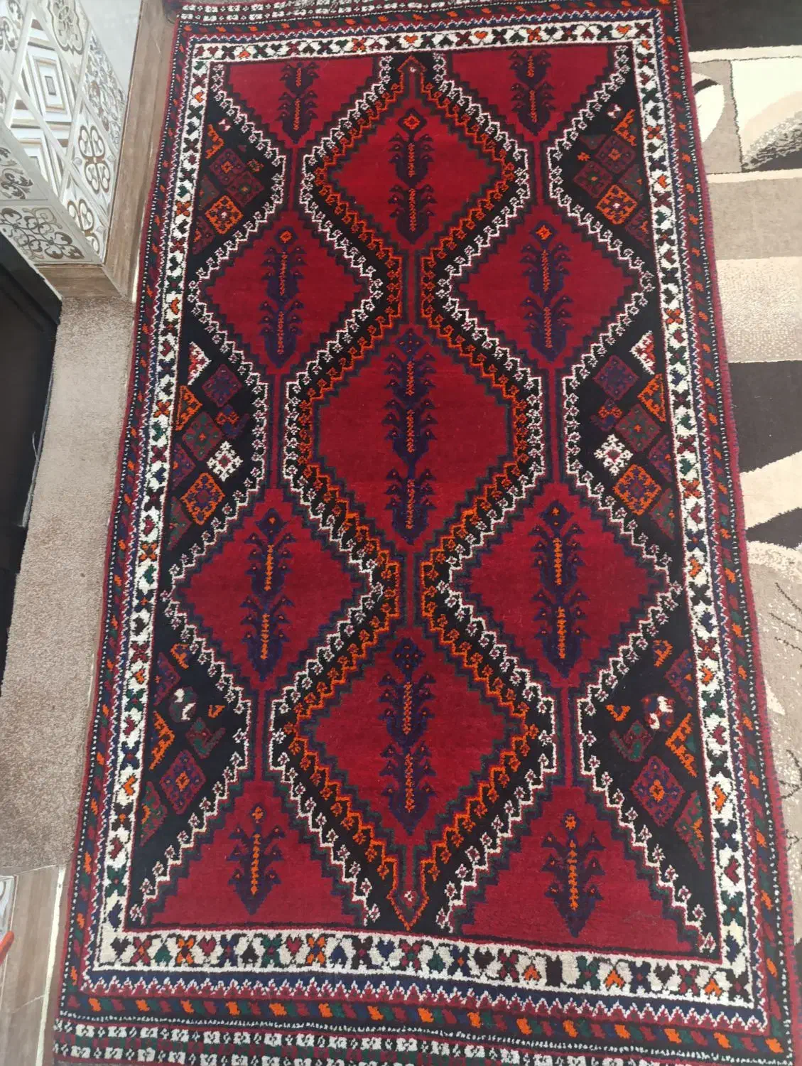 فرش دستباف|فرش|صحرای باغ, |دیوار