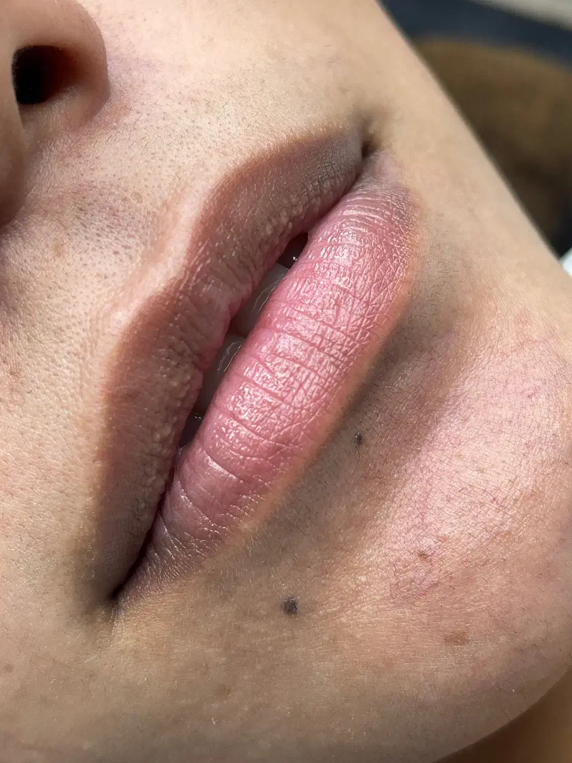 میکرو و شیدینگ لب با بهترین متریال|خدمات آرایشگری و زیبایی|رودان, |دیوار