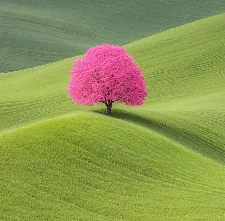 09999928696|سیم‌کارت|کرمانشاه, |دیوار