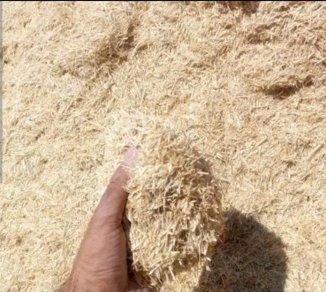 پرس گندم|حیوانات مزرعه|زالیان, |دیوار