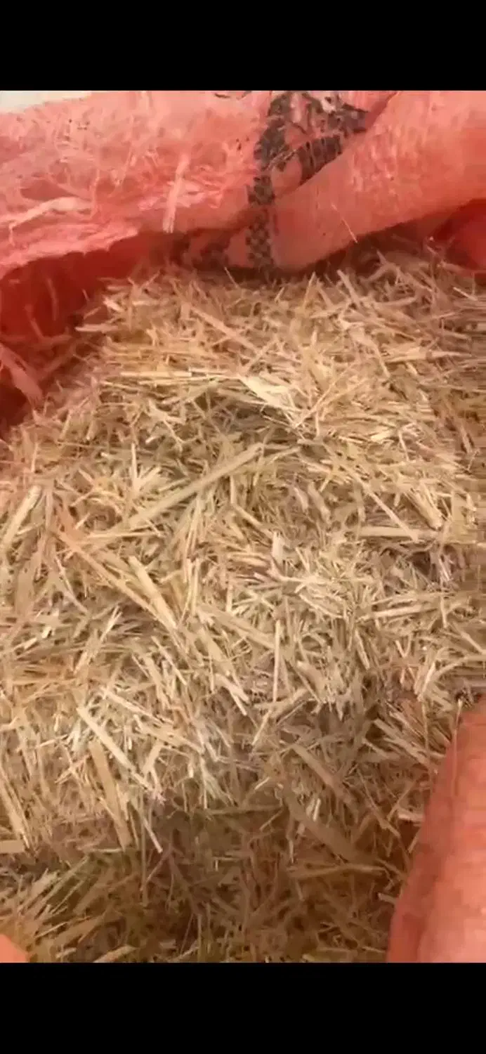 مرودشت|حیوانات مزرعه|مرودشت, مجد آباد|دیوار