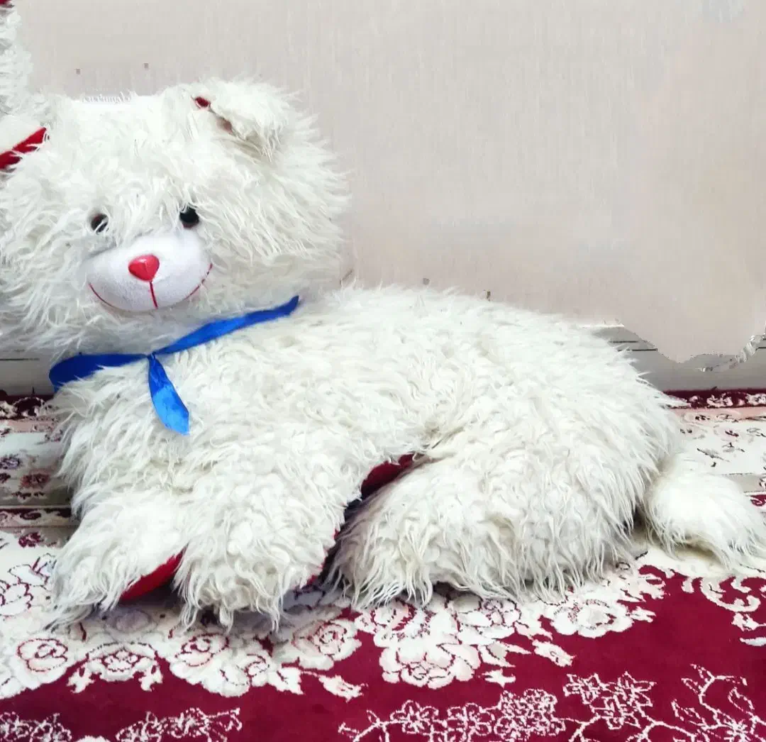 پاندا وگربه|اسباببازی|اردبیل, |دیوار