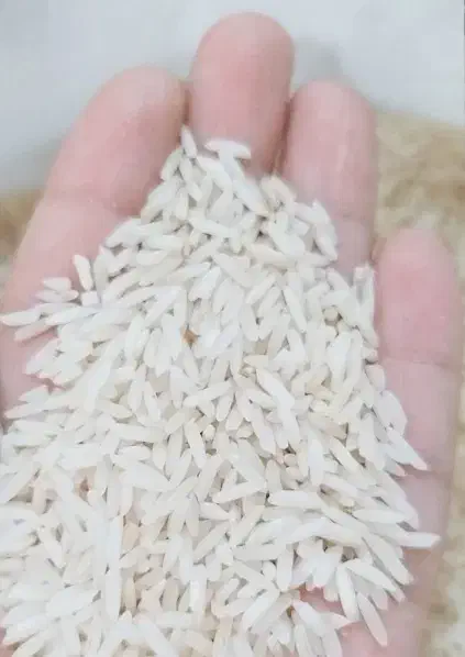 برنج دم سیاه خوش عطر و خوشپخت اعلا|خوردنی و آشامیدنی|گنبد کاووس, |دیوار