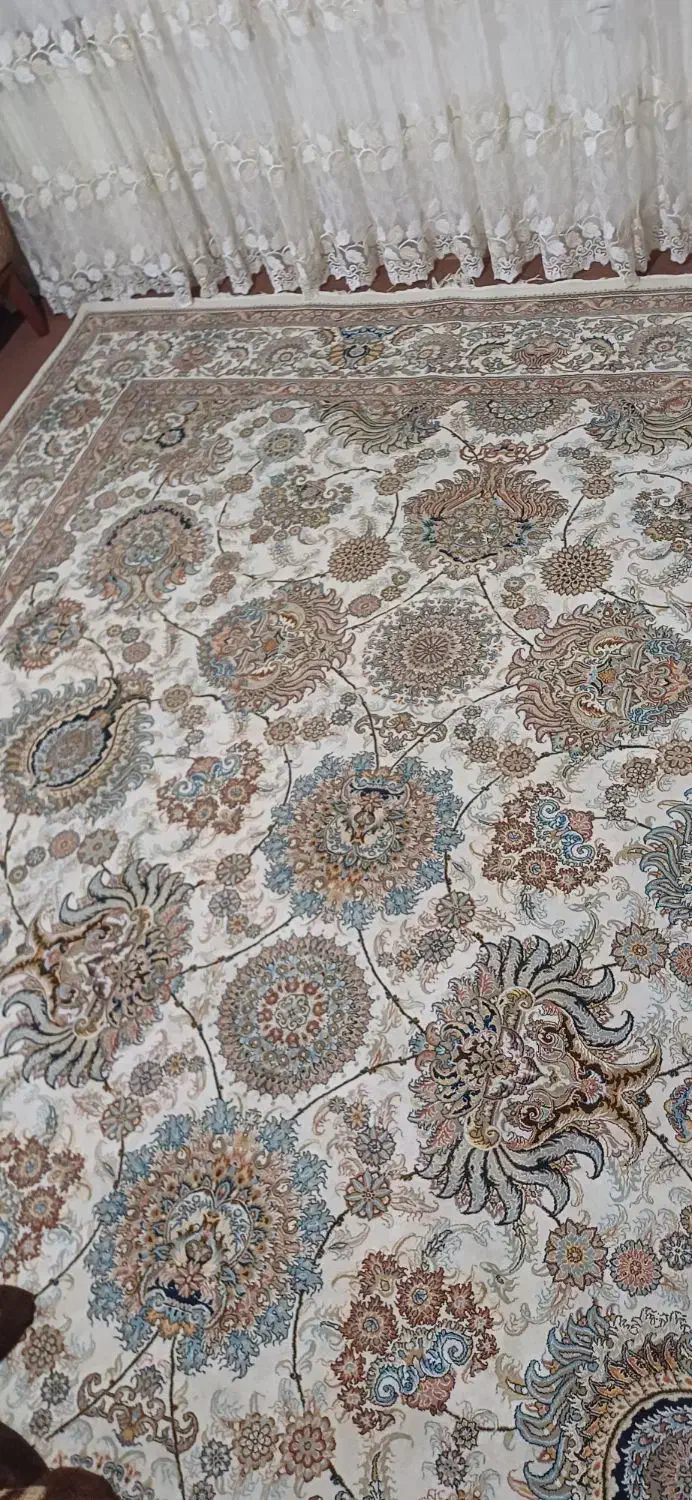 فرش ۱۲متری کاملانو|فرش|اردبیل, |دیوار