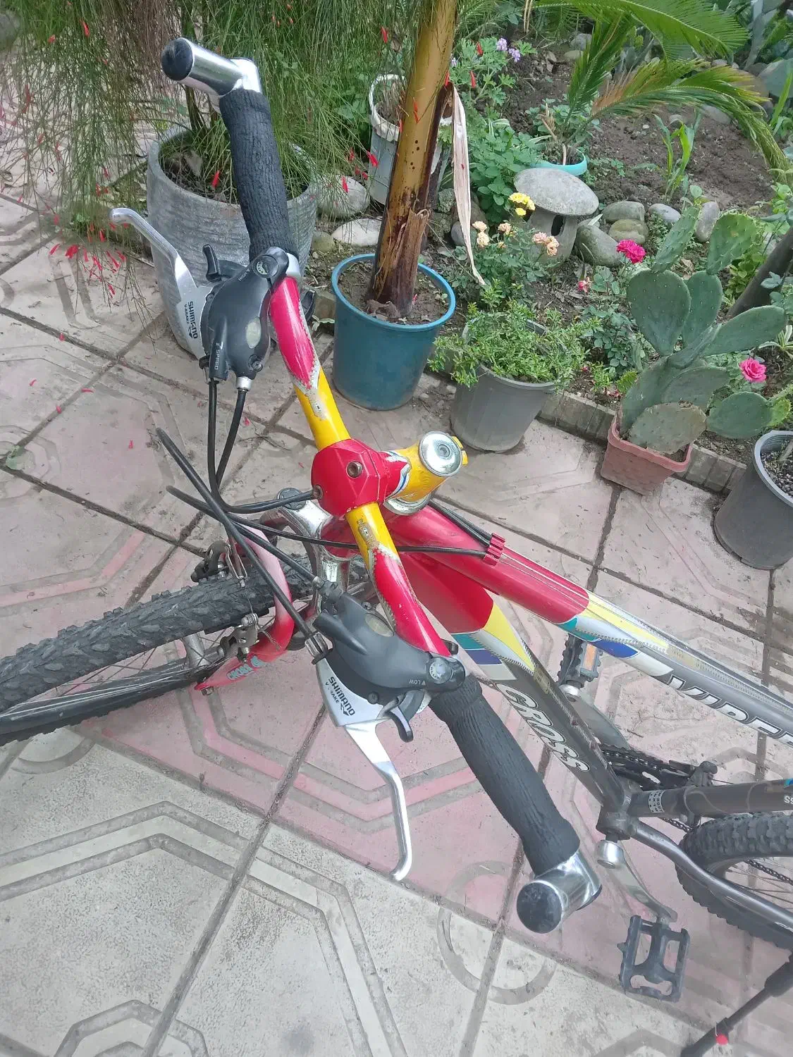 دوچرخه ۲۶ حرفه ای|دوچرخه، اسکیت، اسکوتر|آمل, |دیوار