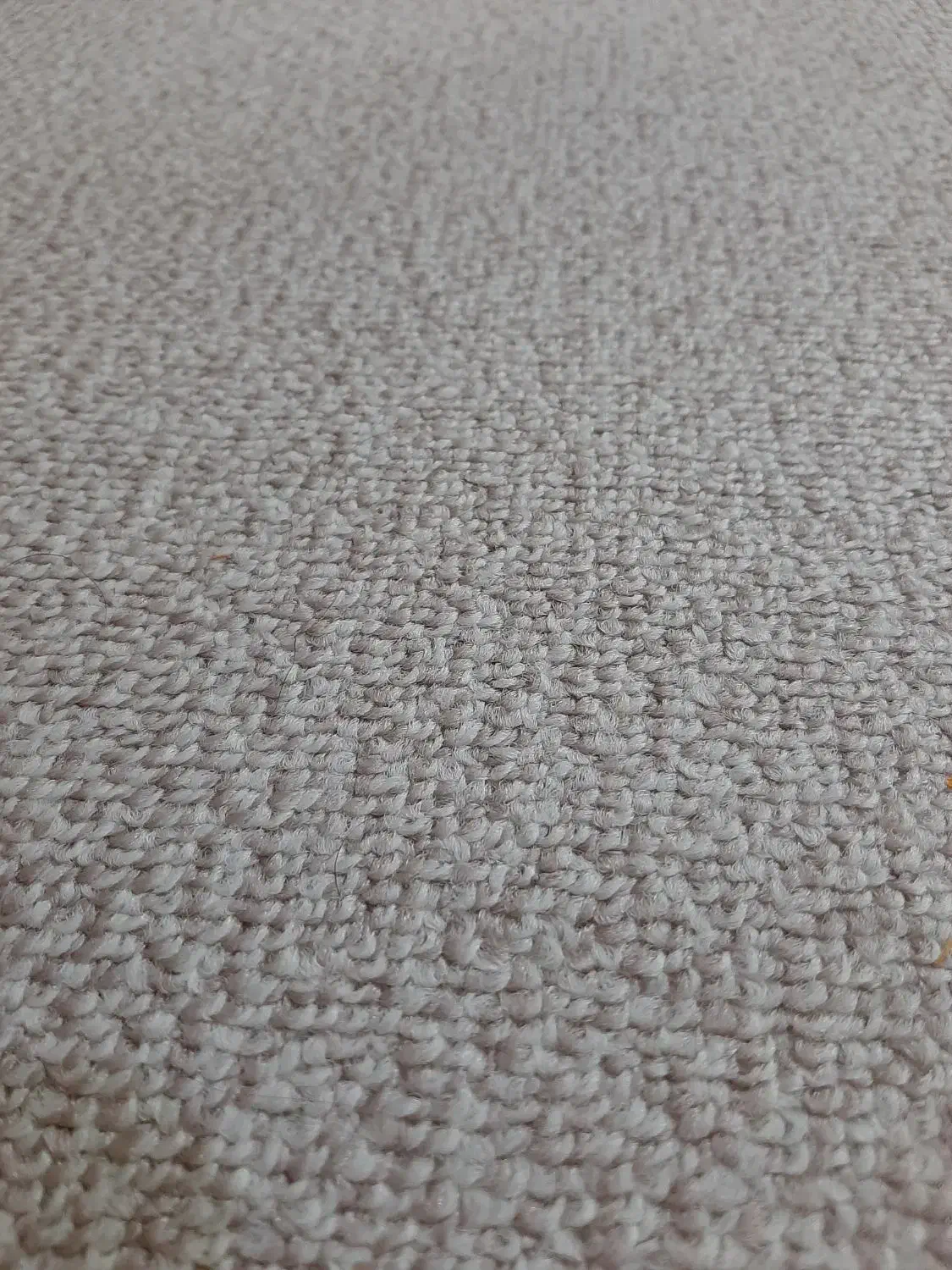 موکت پالاز رنگ کرم نسکافه ای|موکت|تهران, خواجه نظام الملک|دیوار