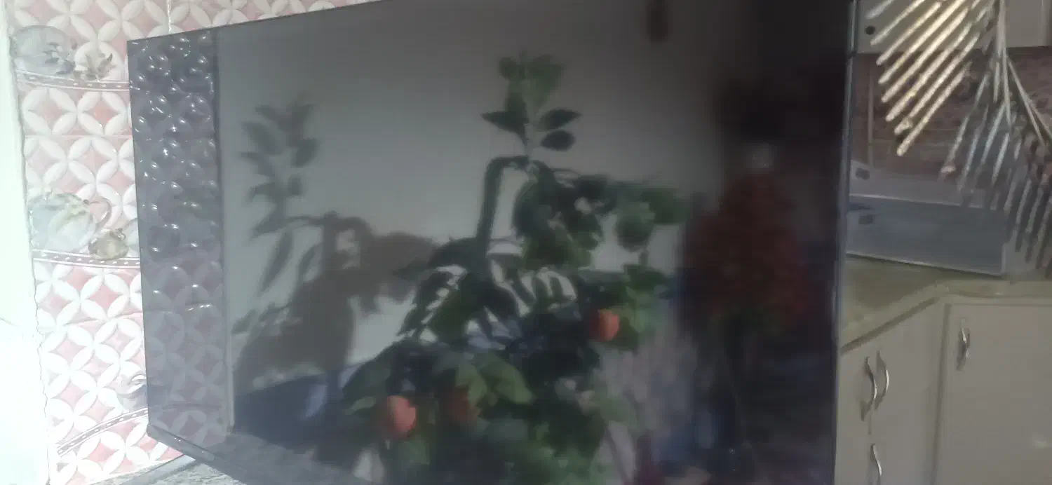 تلوزیون آپلاس 43نیازمند السیدی|تلویزیون و پروژکتور|مود, |دیوار