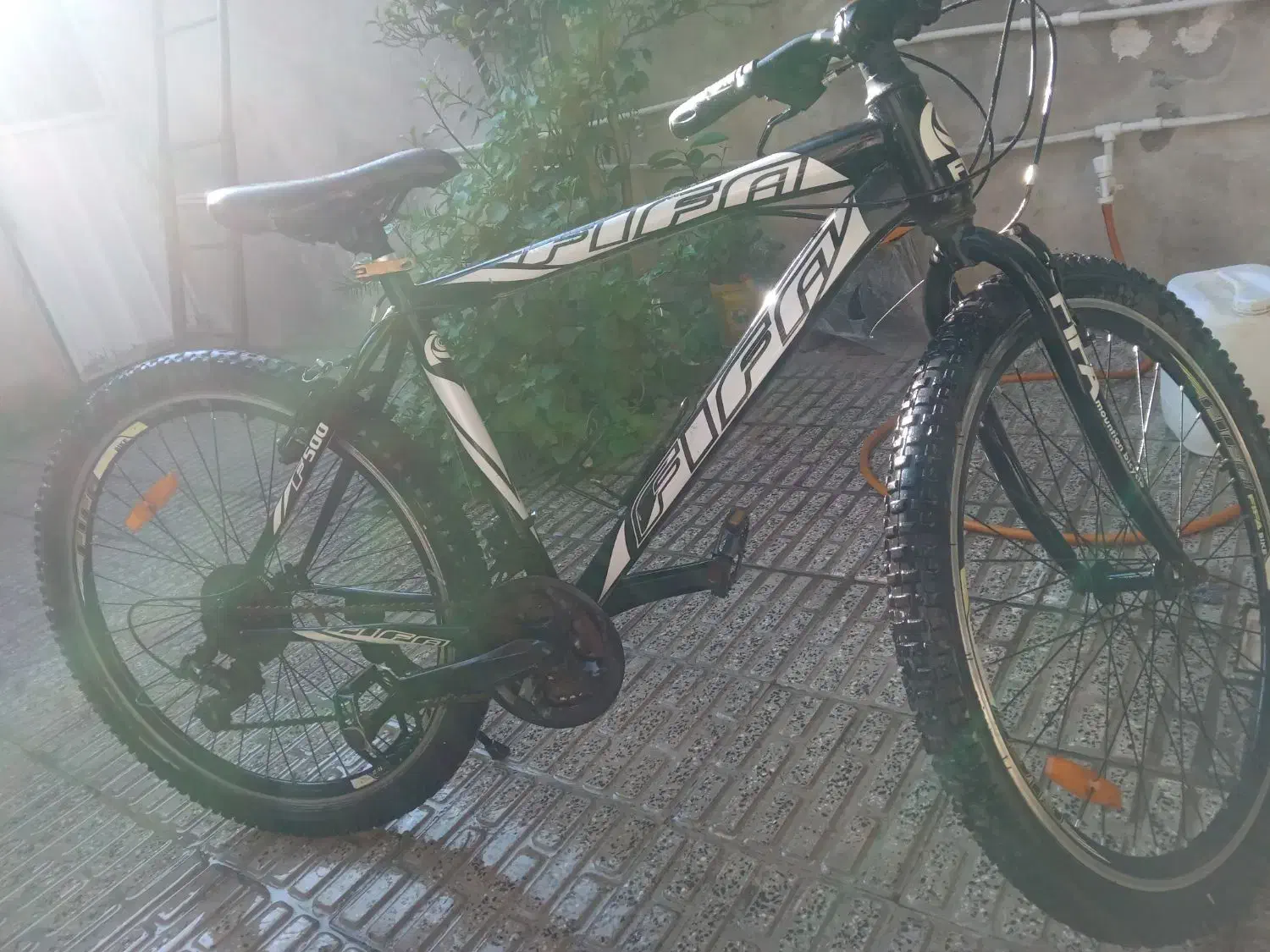 دوچرخه|دوچرخه، اسکیت، اسکوتر|پارس‌آباد, |دیوار