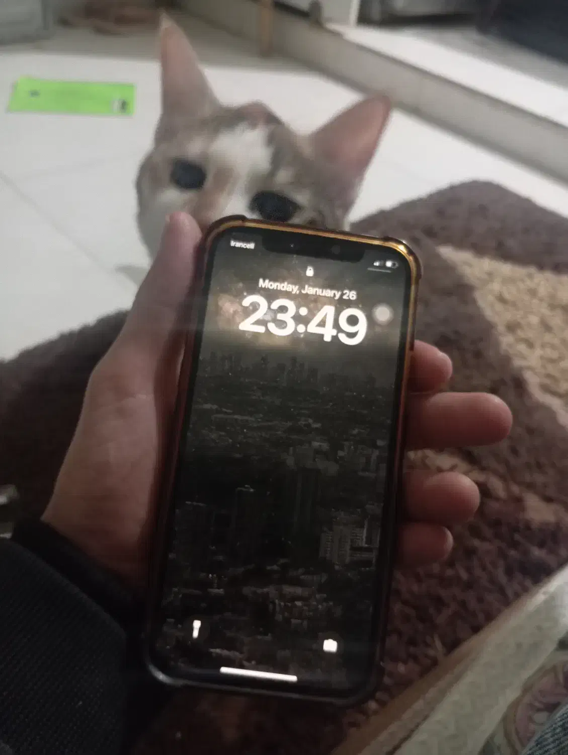 آیفون ۱۲ نرمال|موبایل|مشهد, نرگس (شهرک غرب)|دیوار