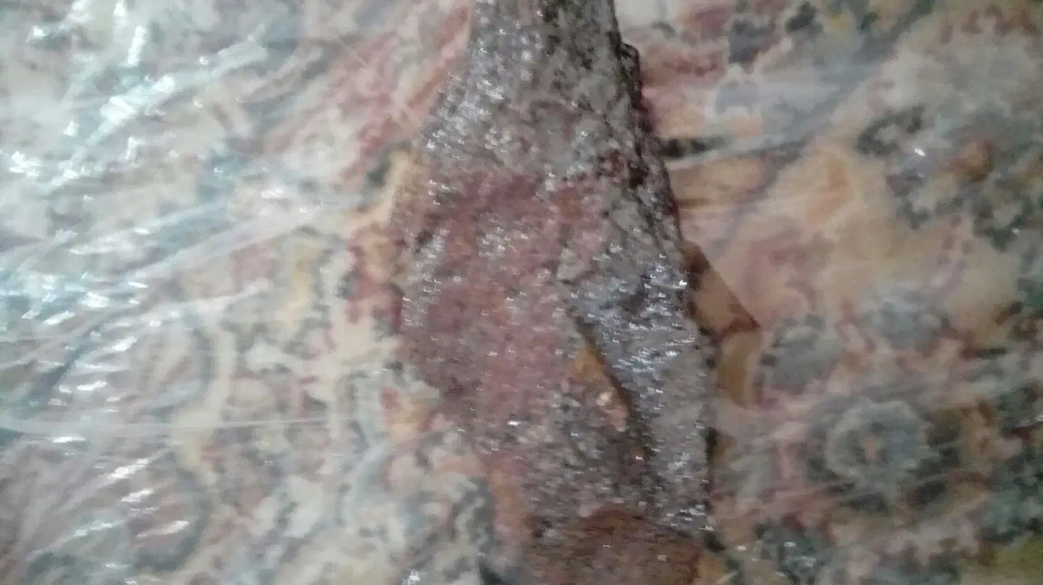 سنگ تز عینی برای اکواریوم و تز عینات|صنایع دستی و سایر لوازم تزئینی|خسروشاه, |دیوار