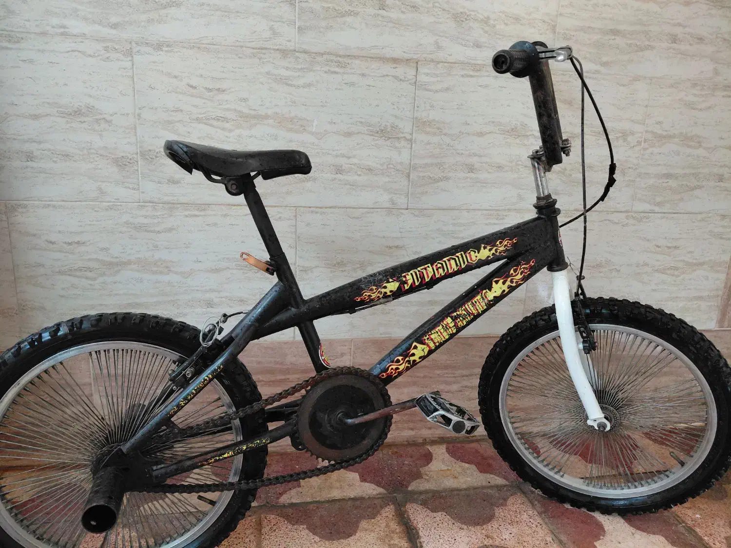 دوچرخه ویوا|دوچرخه، اسکیت، اسکوتر|برازجان, |دیوار