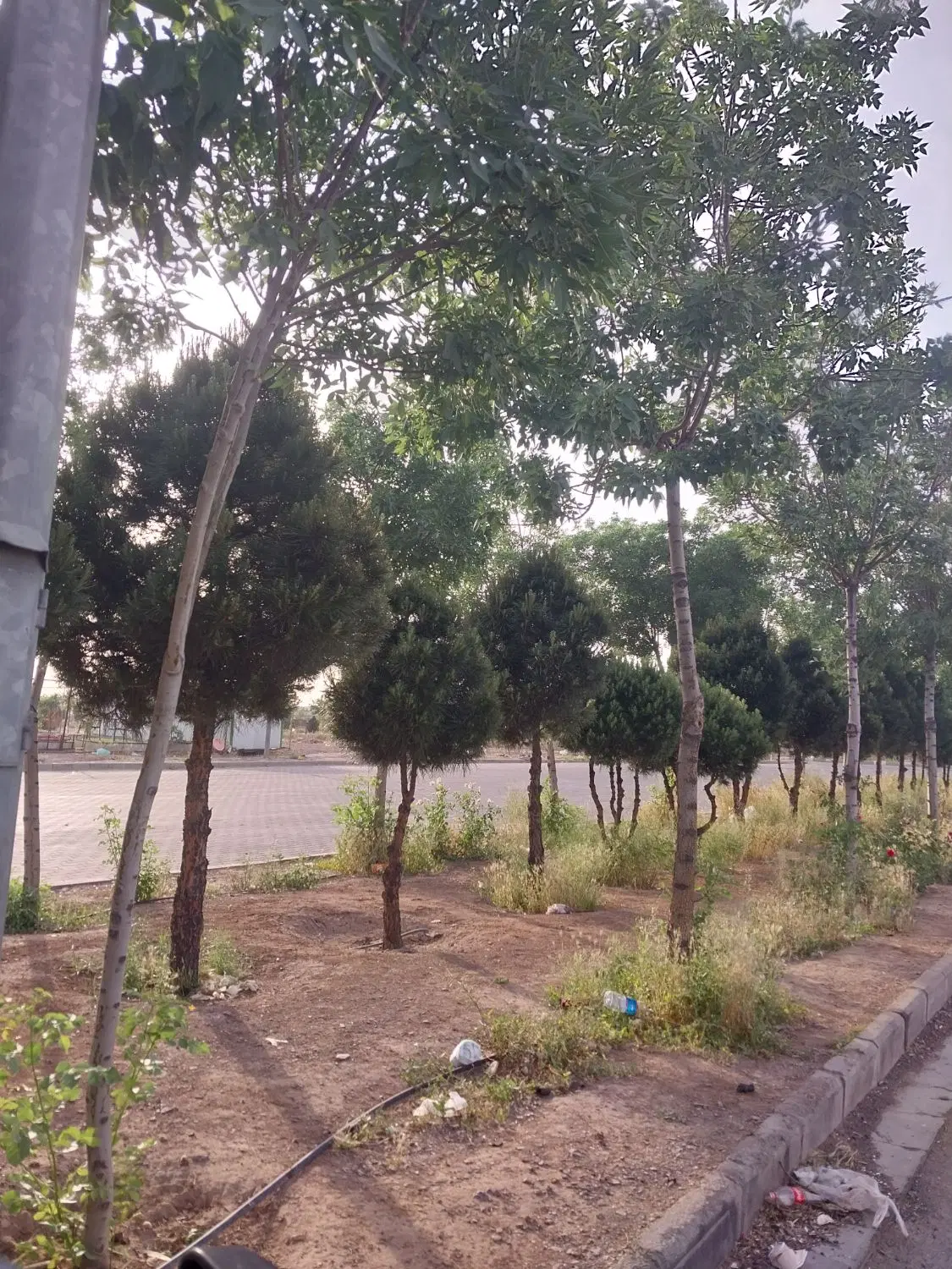 سرویس|خدمات حمل و نقل|پرند, فاز ۶|دیوار