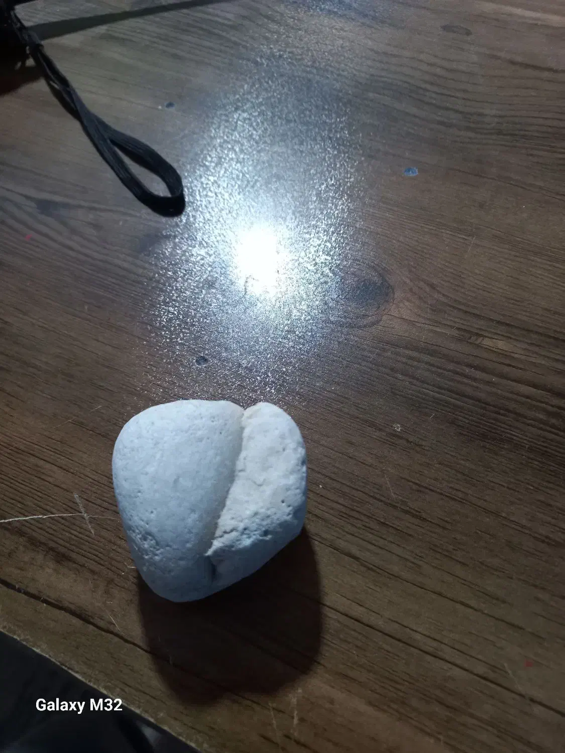 فسیل دو عدد|کلکسیون اشیاء عتیقه|کارون, |دیوار