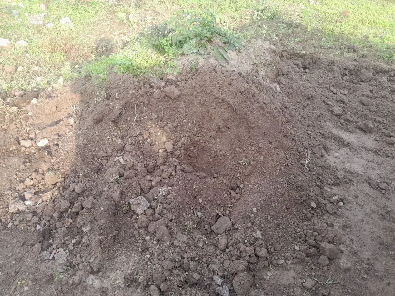 کودحیوانی پوسیده وخاک باغچه|حراج|املش, |دیوار