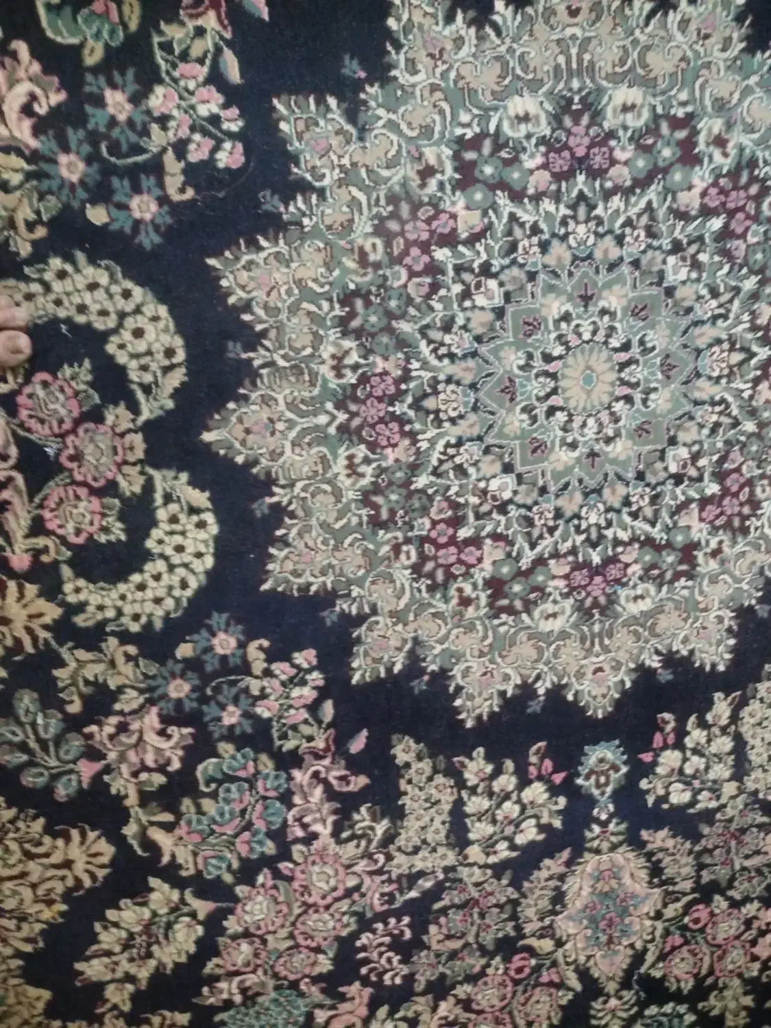 قالی 12متری|فرش|بم, |دیوار