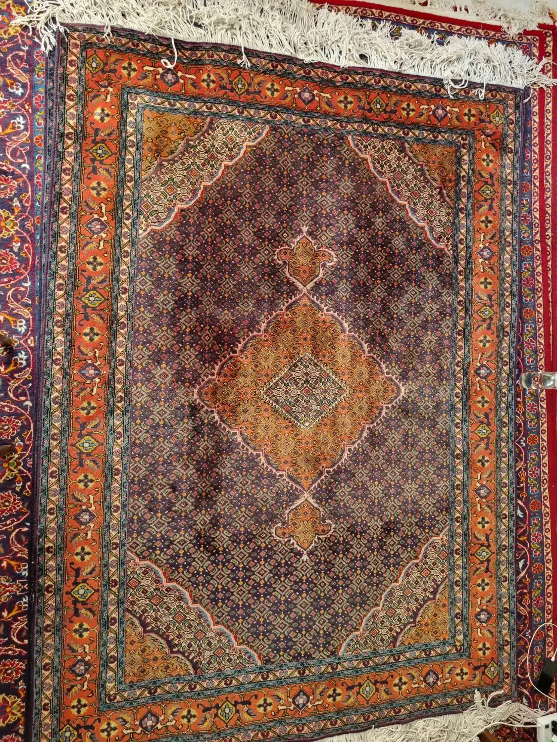 فرش دستباف نجف آباد و ماهی تبریز|فرش|شیراز, اصلاحنژاد|دیوار