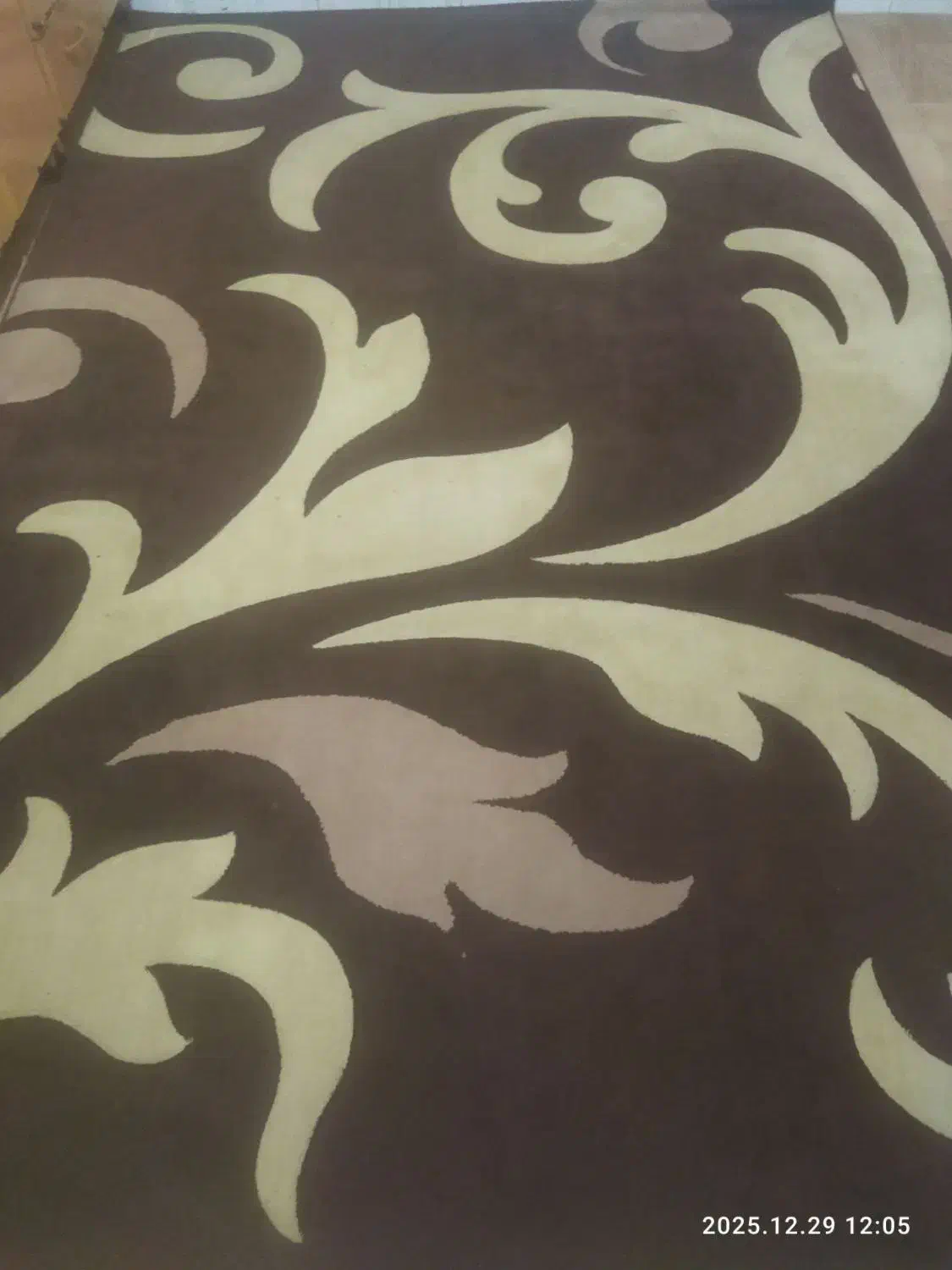 گلیم ۶متری گل برجسته|گلیم، جاجیم، گبه|قوچان, |دیوار