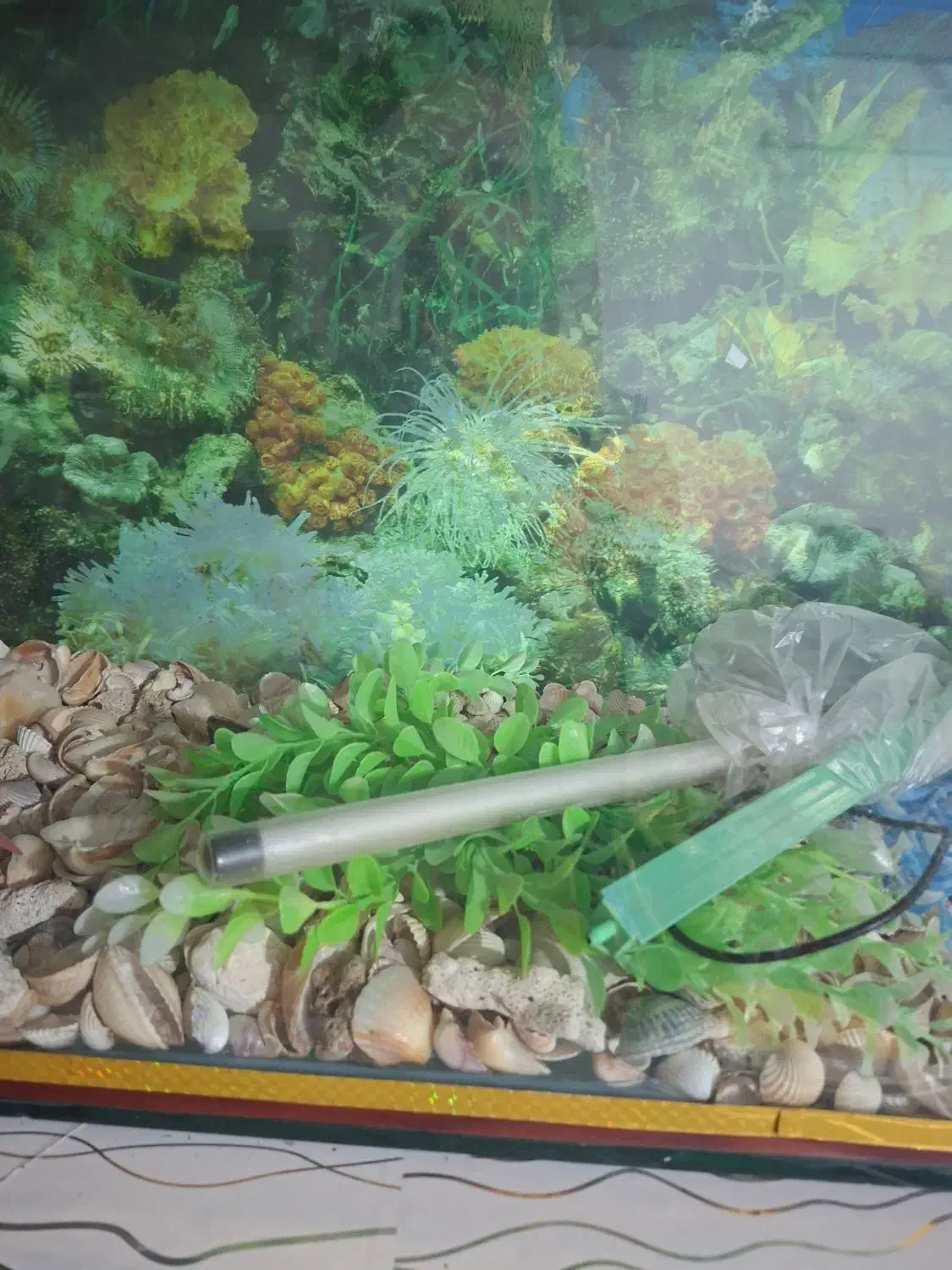 اکواریوم بزرگ|ماهی|مشهد, حسینآباد|دیوار