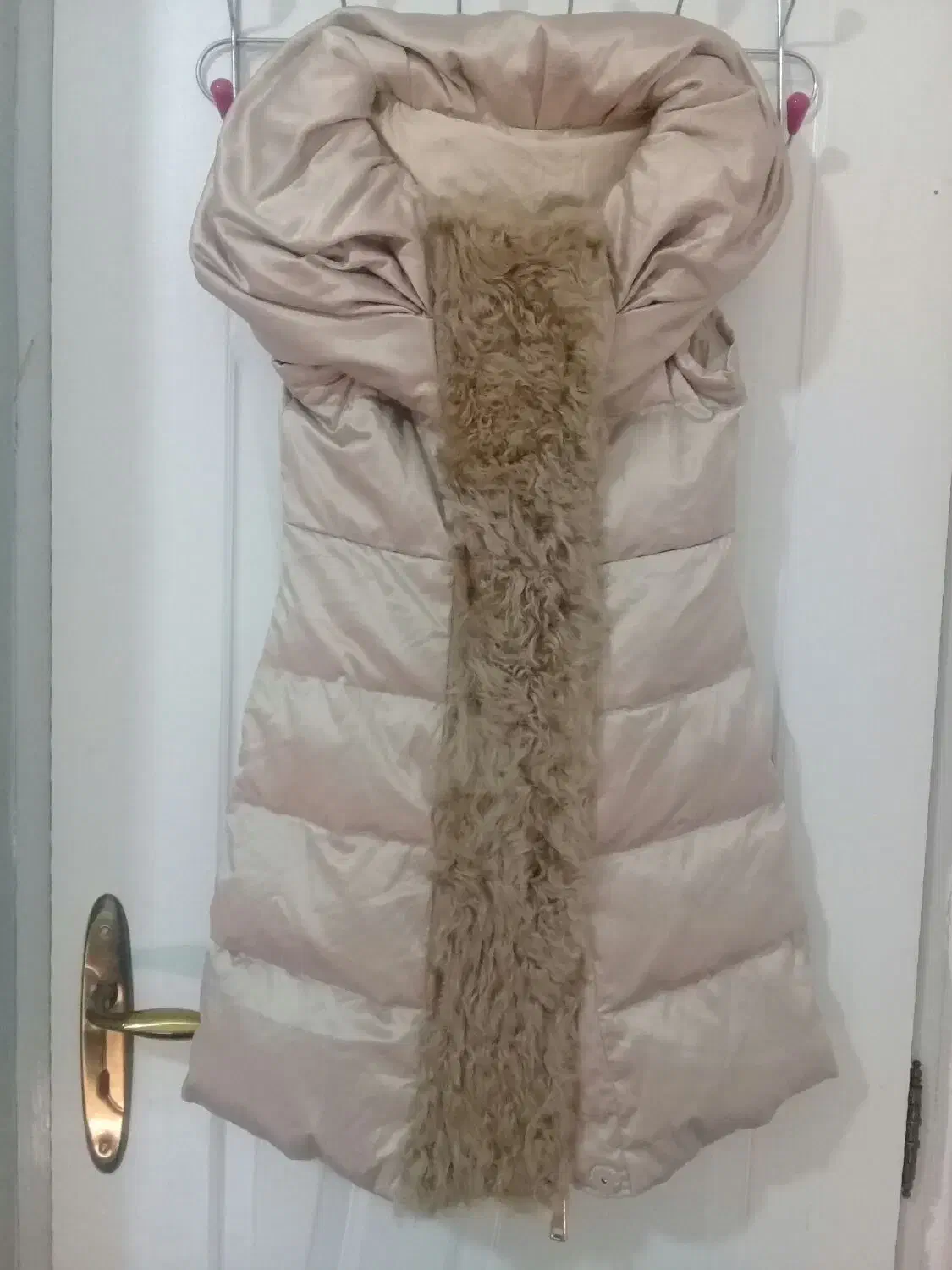 پالتو زنانه|لباس|علی‌آباد کتول, |دیوار