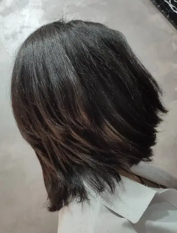 کوتاهی موو بافت مووکس واصلاح صورت|خدمات آرایشگری و زیبایی|رشت, معلم|دیوار