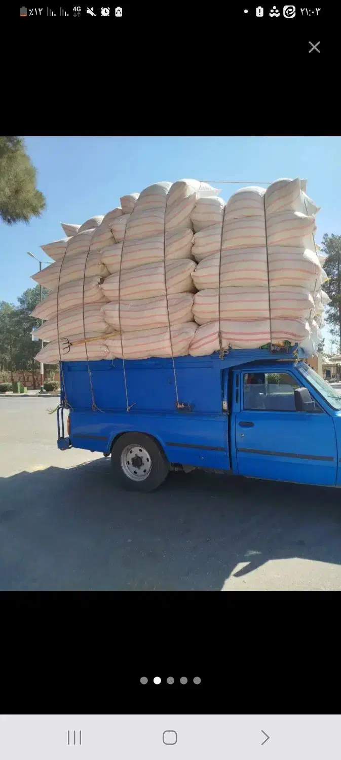 کاه|لوازم جانبی حیوانات|مبارکه, |دیوار