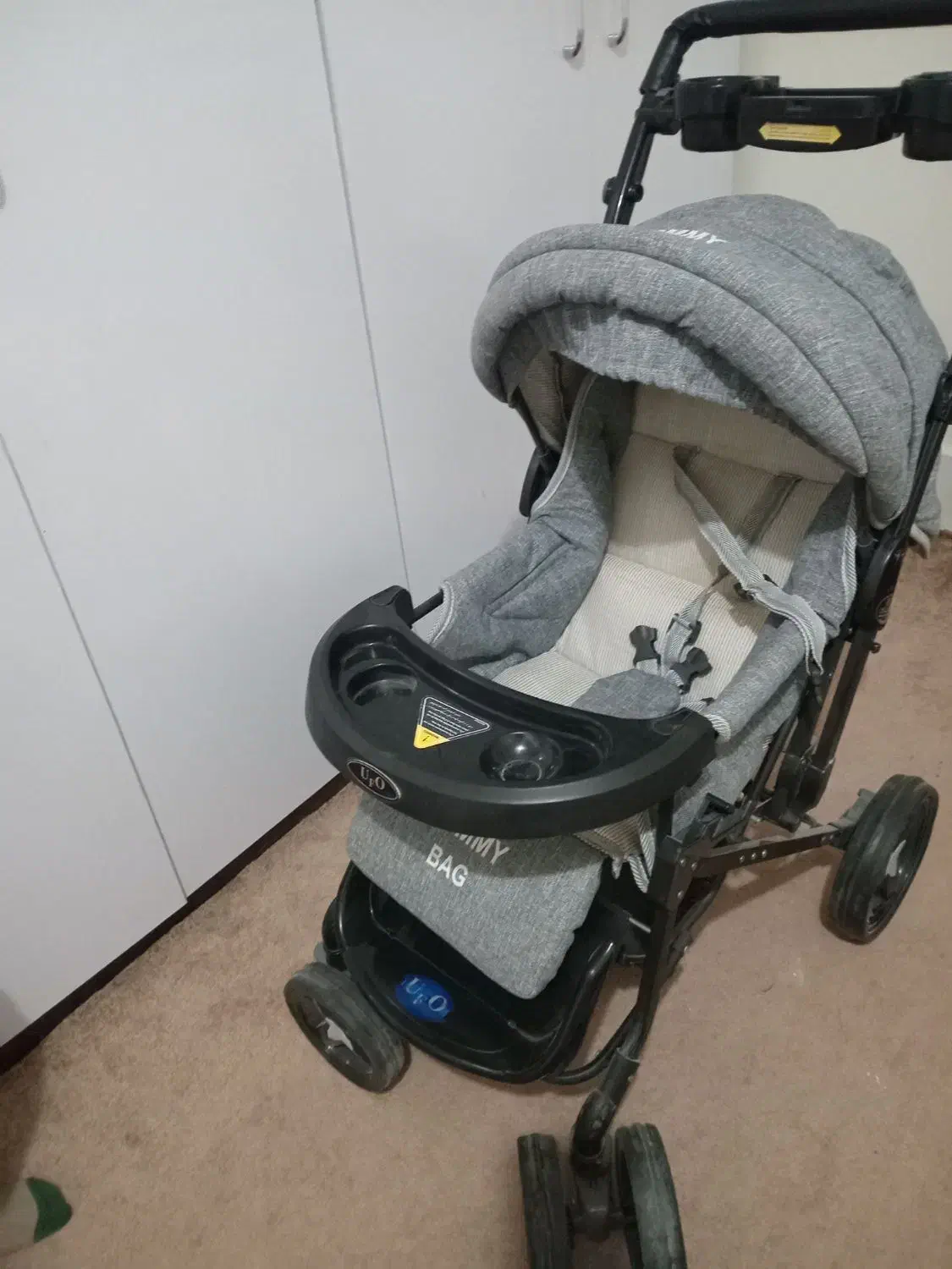 کالسکه|کالسکه و لوازم جانبی|پیر بکران, |دیوار