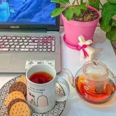 حسابدار دور کار|خدمات مالی، حسابداری، بیمه|شیراز, پودنک|دیوار